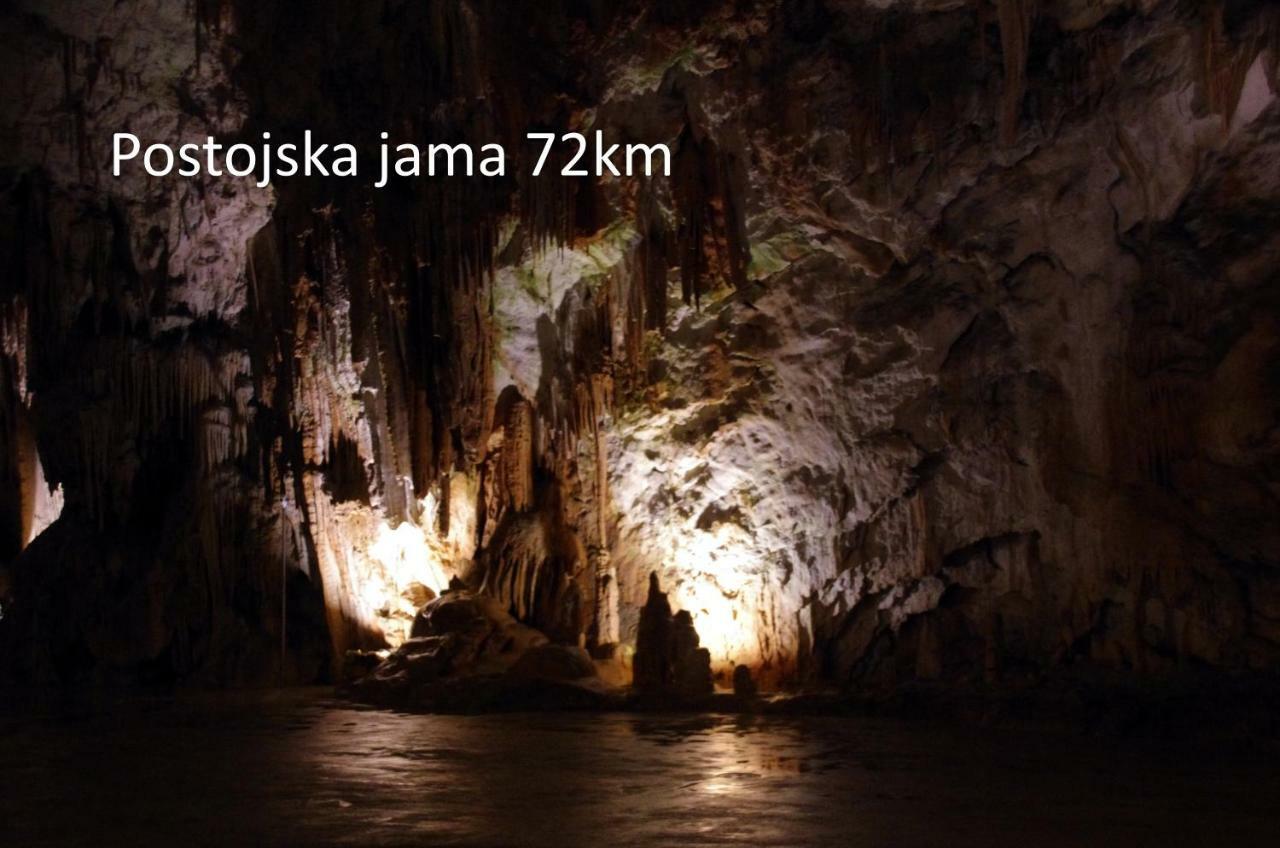 Yellow Submarine Lucija Εξωτερικό φωτογραφία
